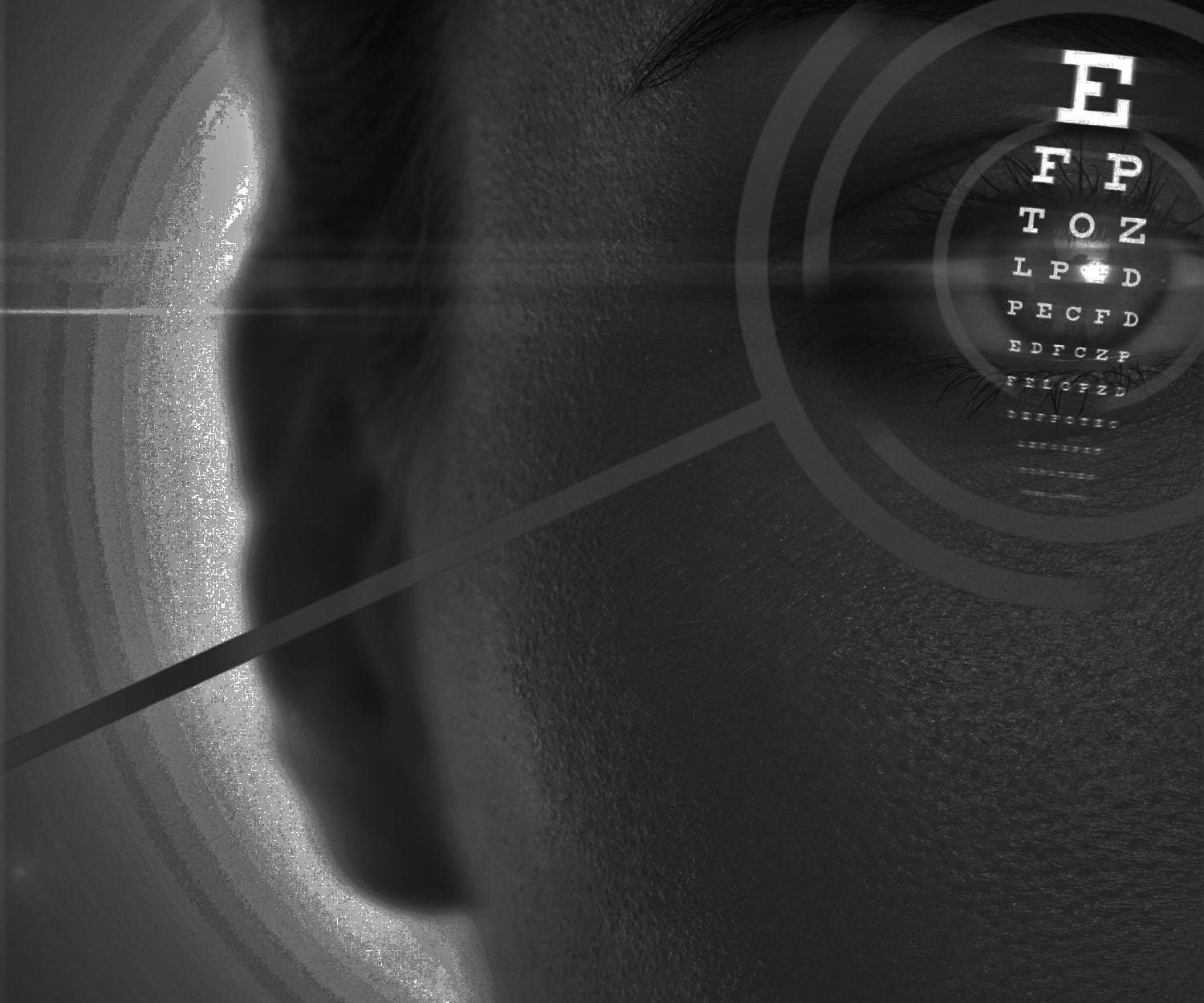 Local SEO Case Study