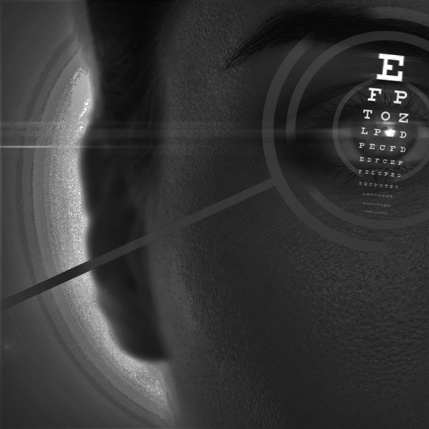 Local SEO Case Study