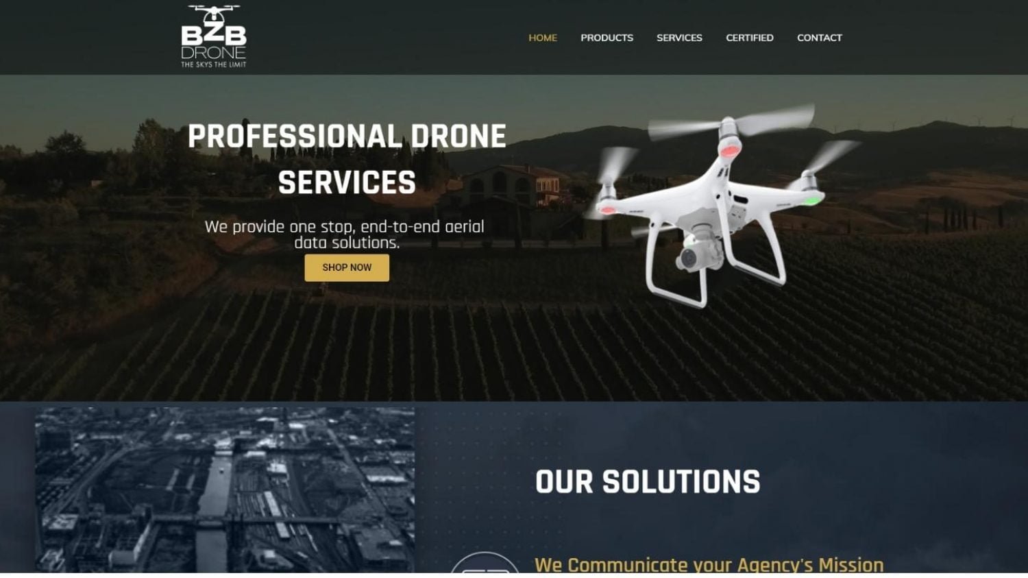 6-10 Pages Site Web Development Case Study - Privaterise