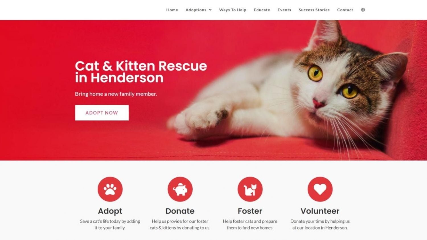 Cat & Kitten Rescue in Henderson Web Development Case Study
