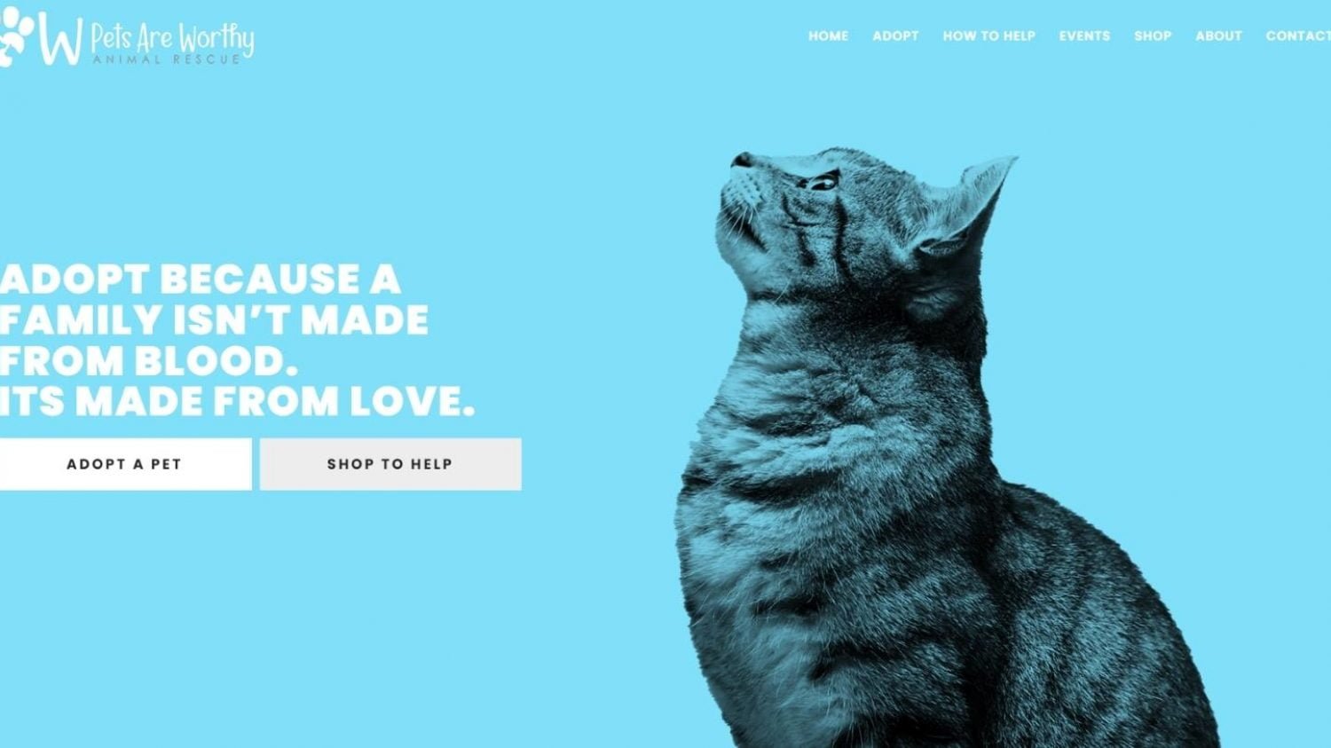 Paw Animal Rescue Case Study Web Development Privaterise