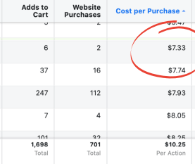 eCommerce Case Study Facebook Ads Results To Get Sale