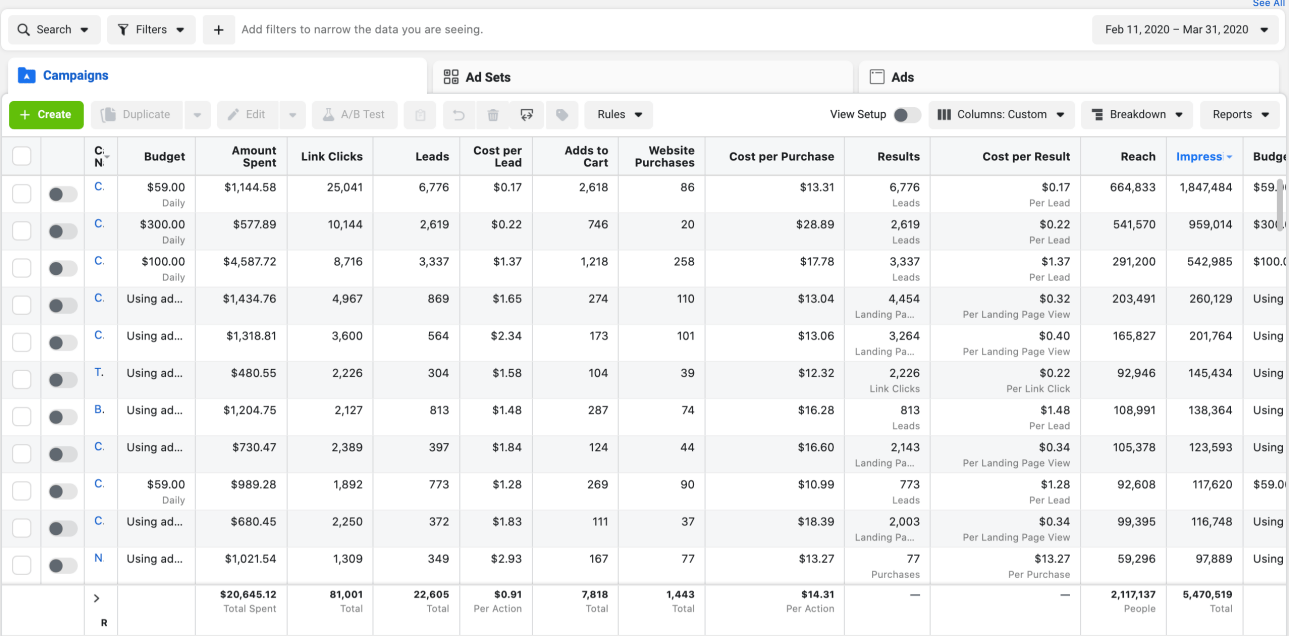 eCommerce Case Study Facebook Ads Results