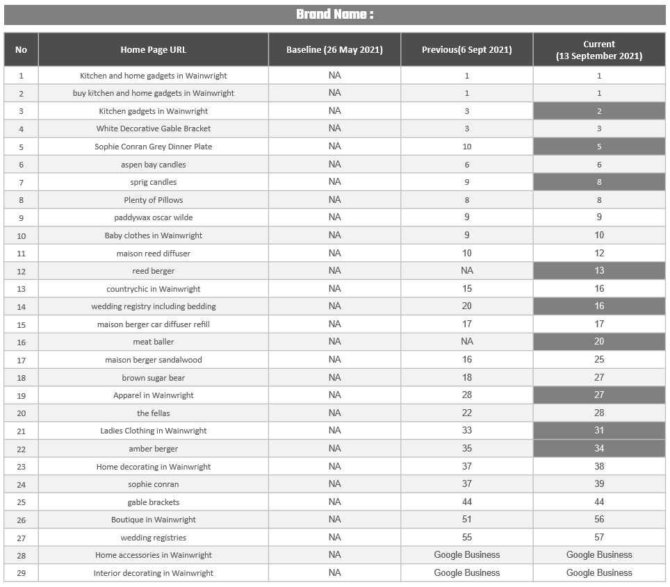 Our Results In International SEO Services