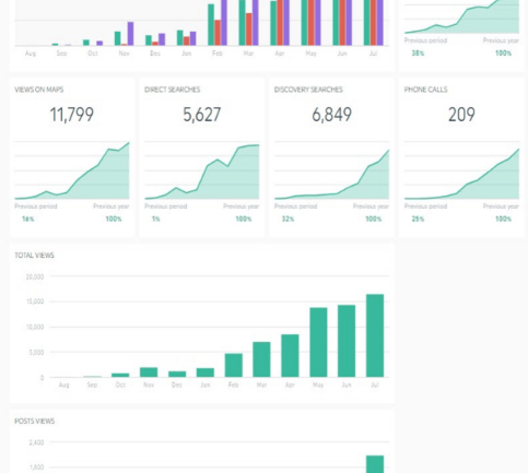 Guaranteed Google My Business Maps Ranking Service Dashboard